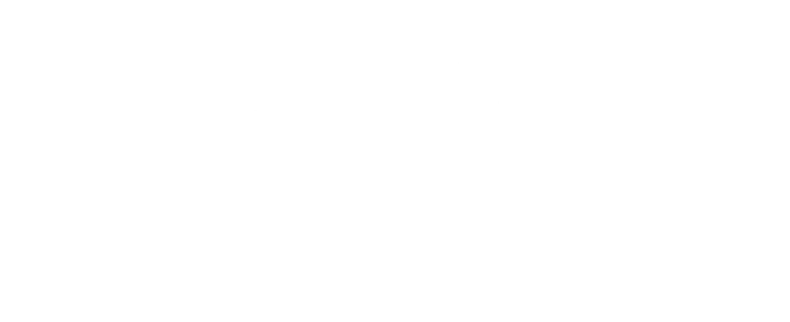Paula Traduce